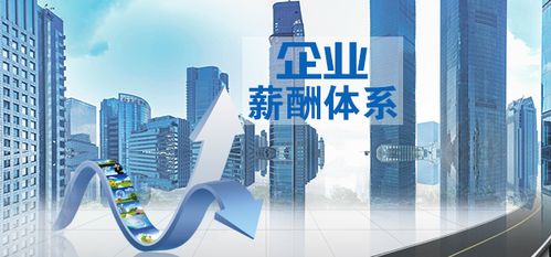 薪酬设计与绩效考核 企业腾飞的双翼制胜法则